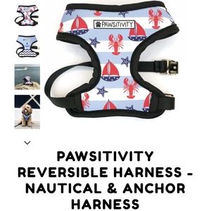 Reversible dog harness